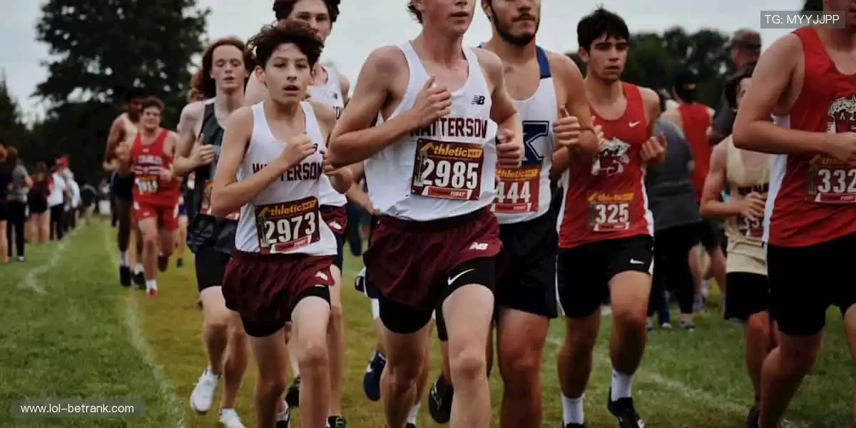 随时随地,直击赛场!📱🎯